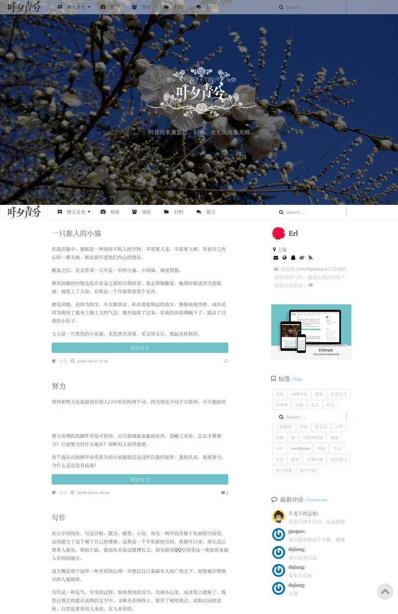 wordpress极简优秀的博客主题–ErlSimpleV1.5主题 - SrcLab 源工坊